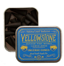 Good and Well Supply Co. Incense Cones YELLOWSTONE